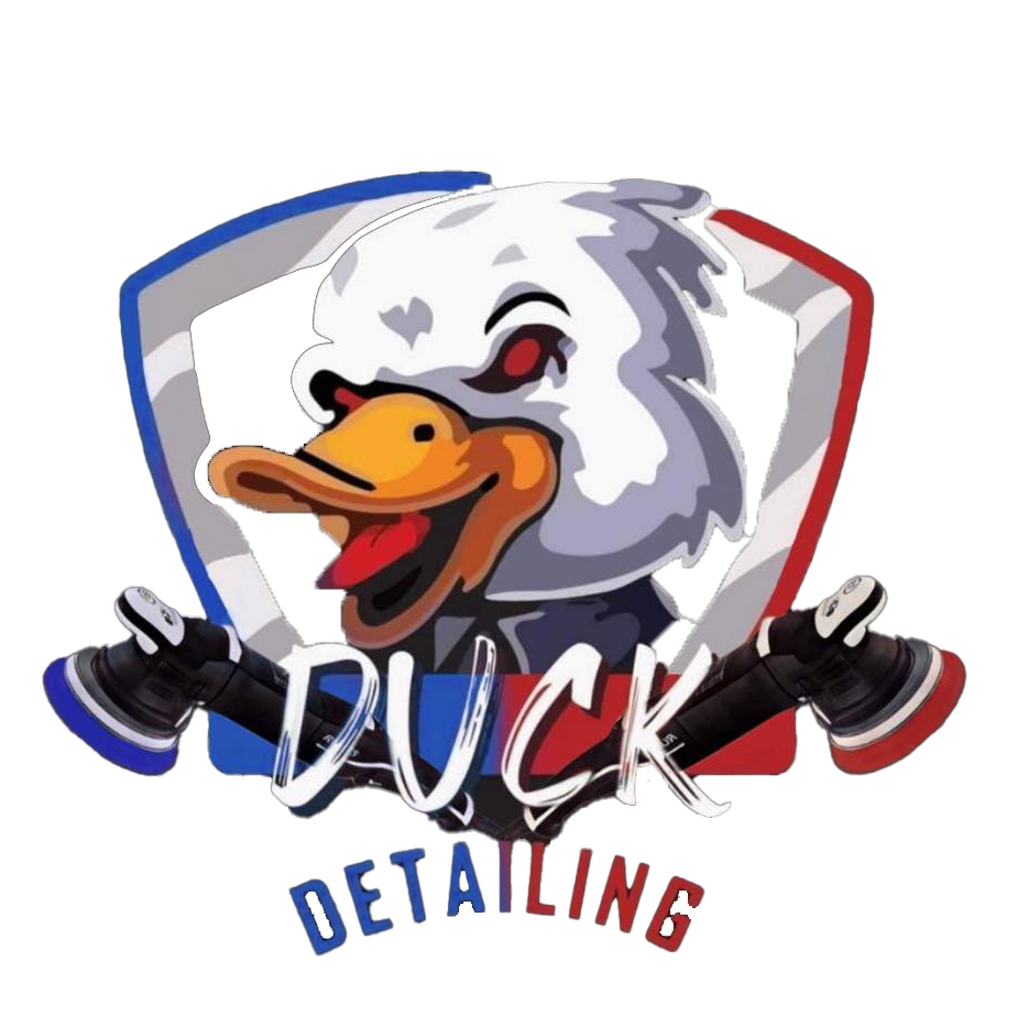 Duck Detailing